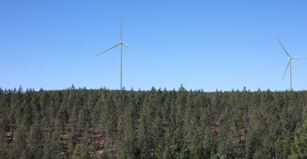 wind turbines against a blue sky