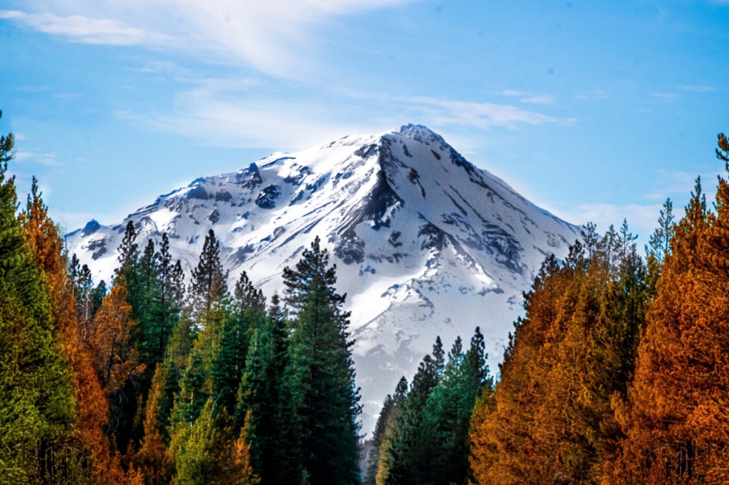 mt shasta ryan hoffman