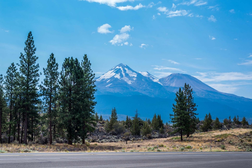 trees with a mountain background