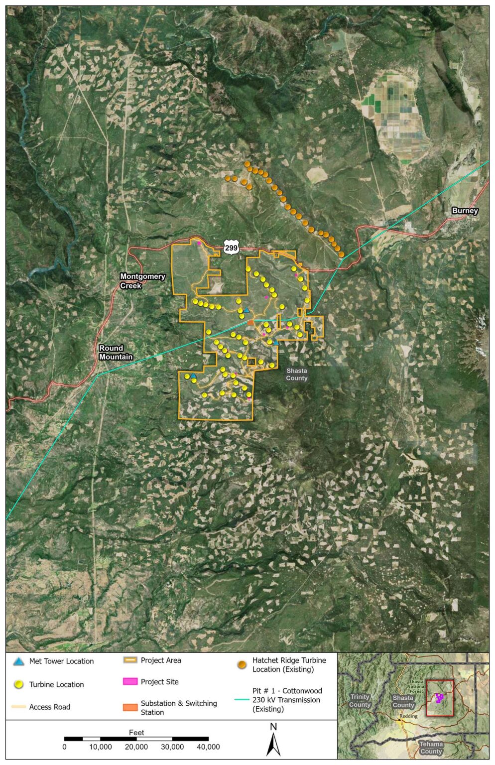 a forest and a mountain